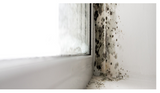 Murisani Cleaner: Soluzione Risanante