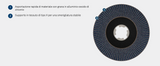 Disco Lamellare X-Lock X571 , Angolato