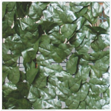 LAURO POINT: SIEPE DECORATIVA
