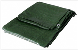 OCCHIELLATO VERDE
